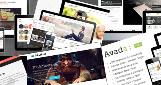 choosing a theme for wordpress