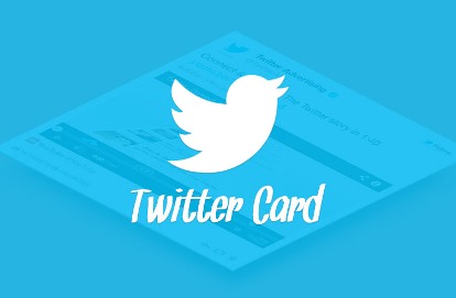 What are the Twitter Cards and Why do you need them?