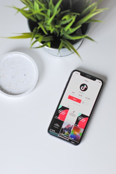 How to use TikTok for your online business