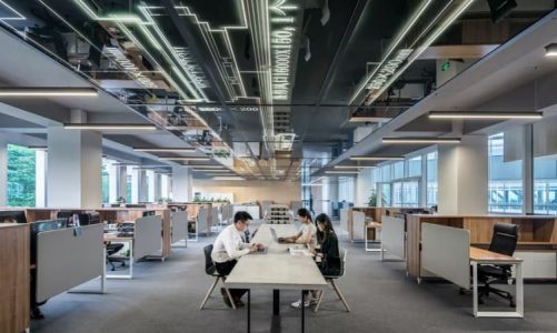 Find Out How to Better Manage a Large Company